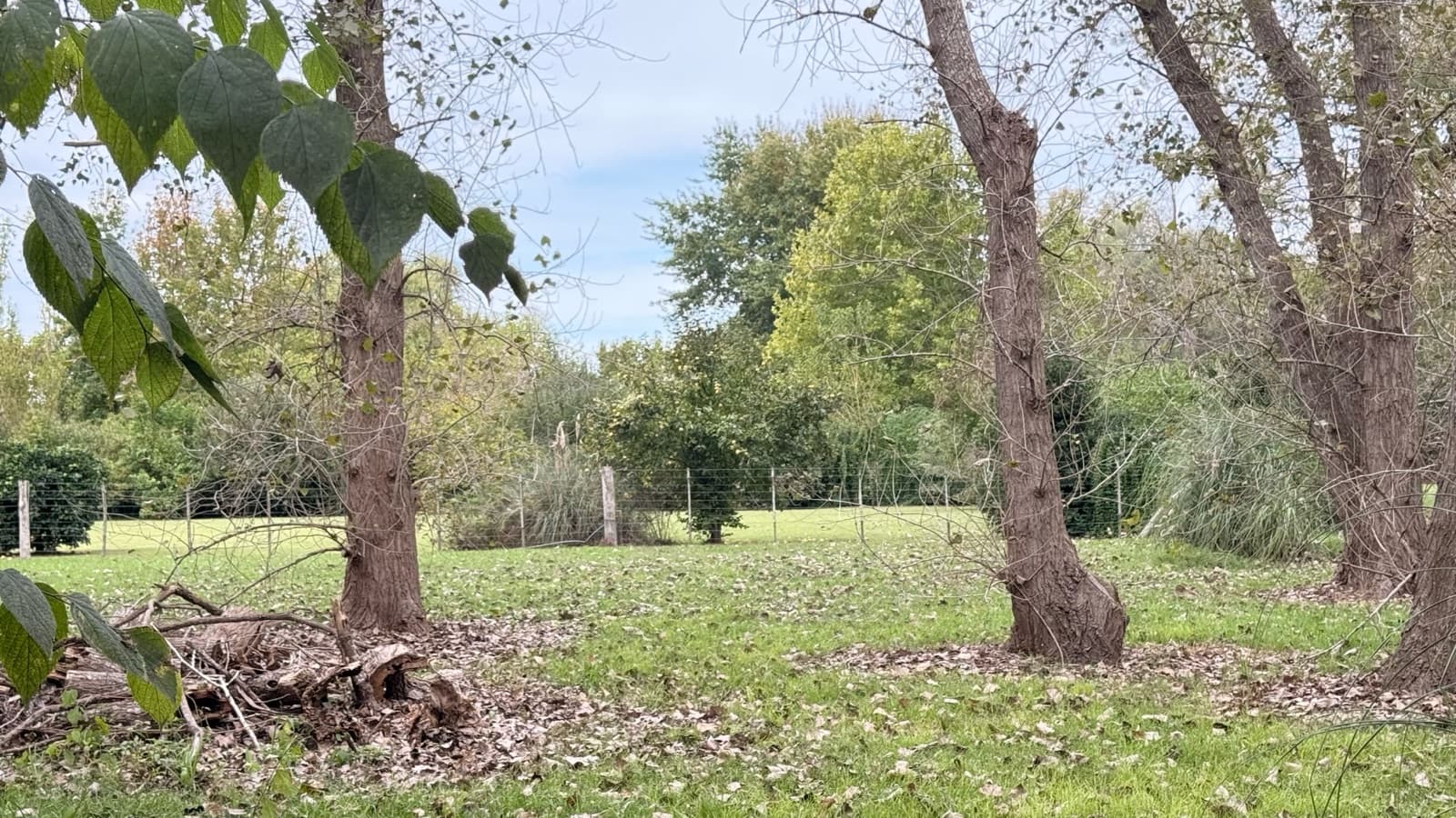 A place to start the life of your dreams! 4,011 m² lot in La Araucaria, Lobos