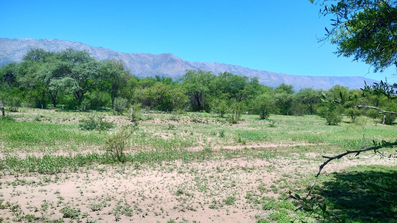 For Sale: Beautiful 2,400 m² Lot with Incredible Views of the Mountains | Title Deed and Utilities