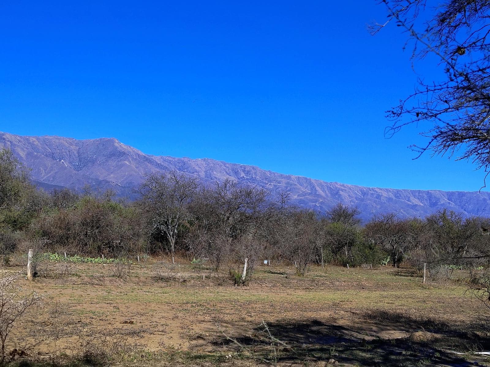 For Sale: Beautiful 2,400 m² Lot with Incredible Views of the Mountains | Title Deed and Utilities