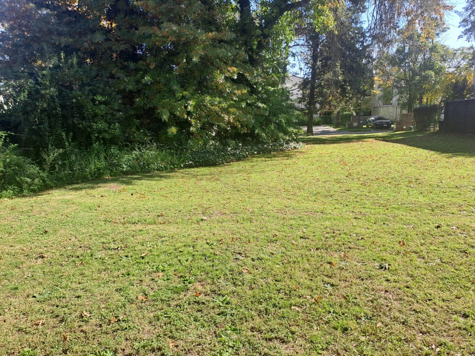 Lot in the Santa Paula Neighborhood