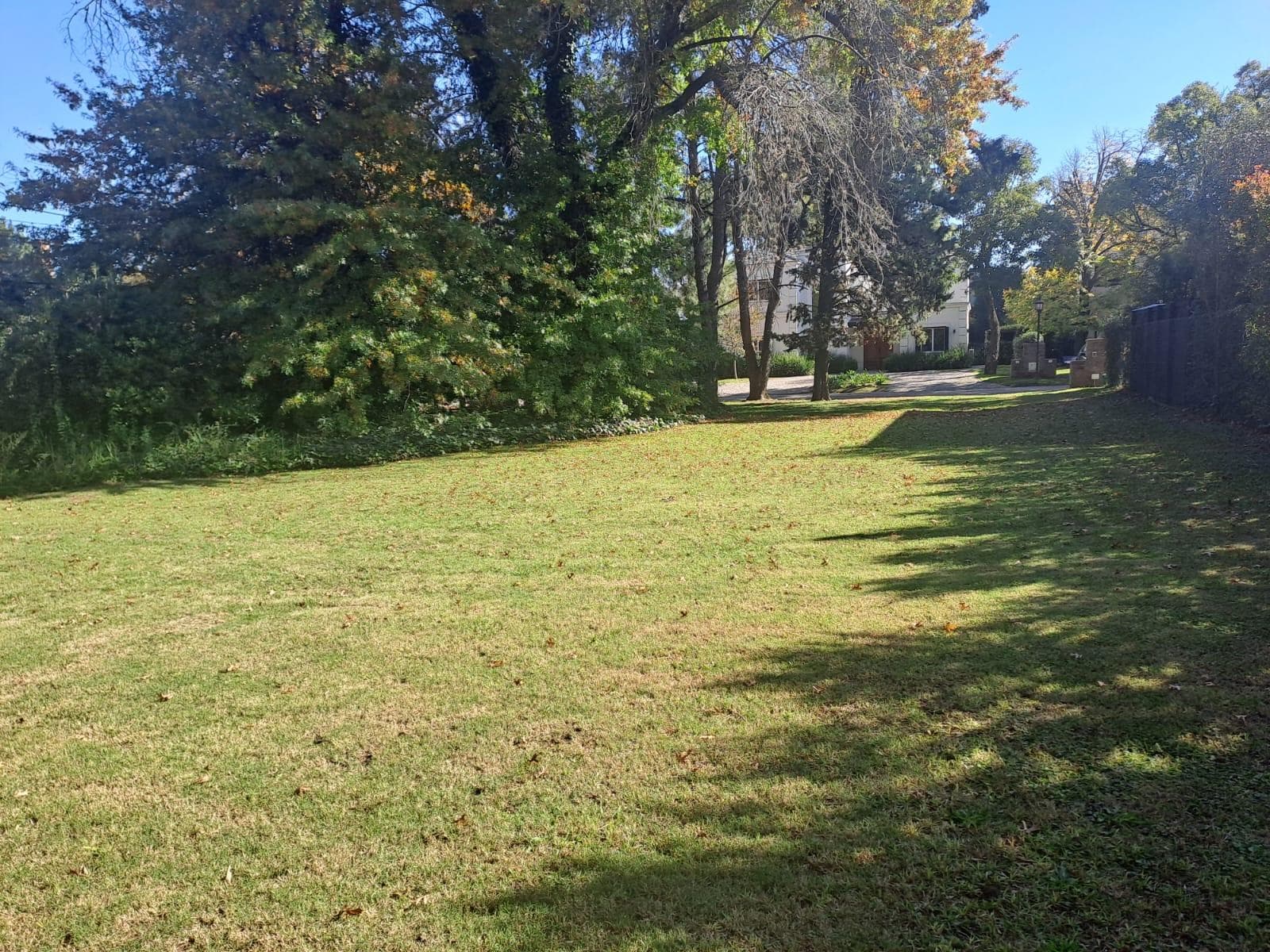 Lot in the Santa Paula Neighborhood