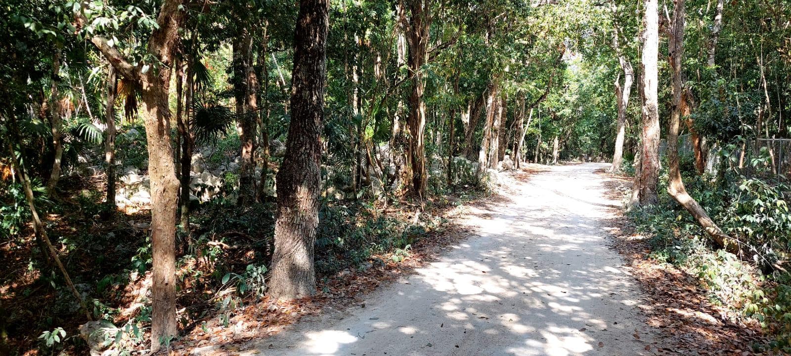 Ecotourism Land for Sale in Akumal