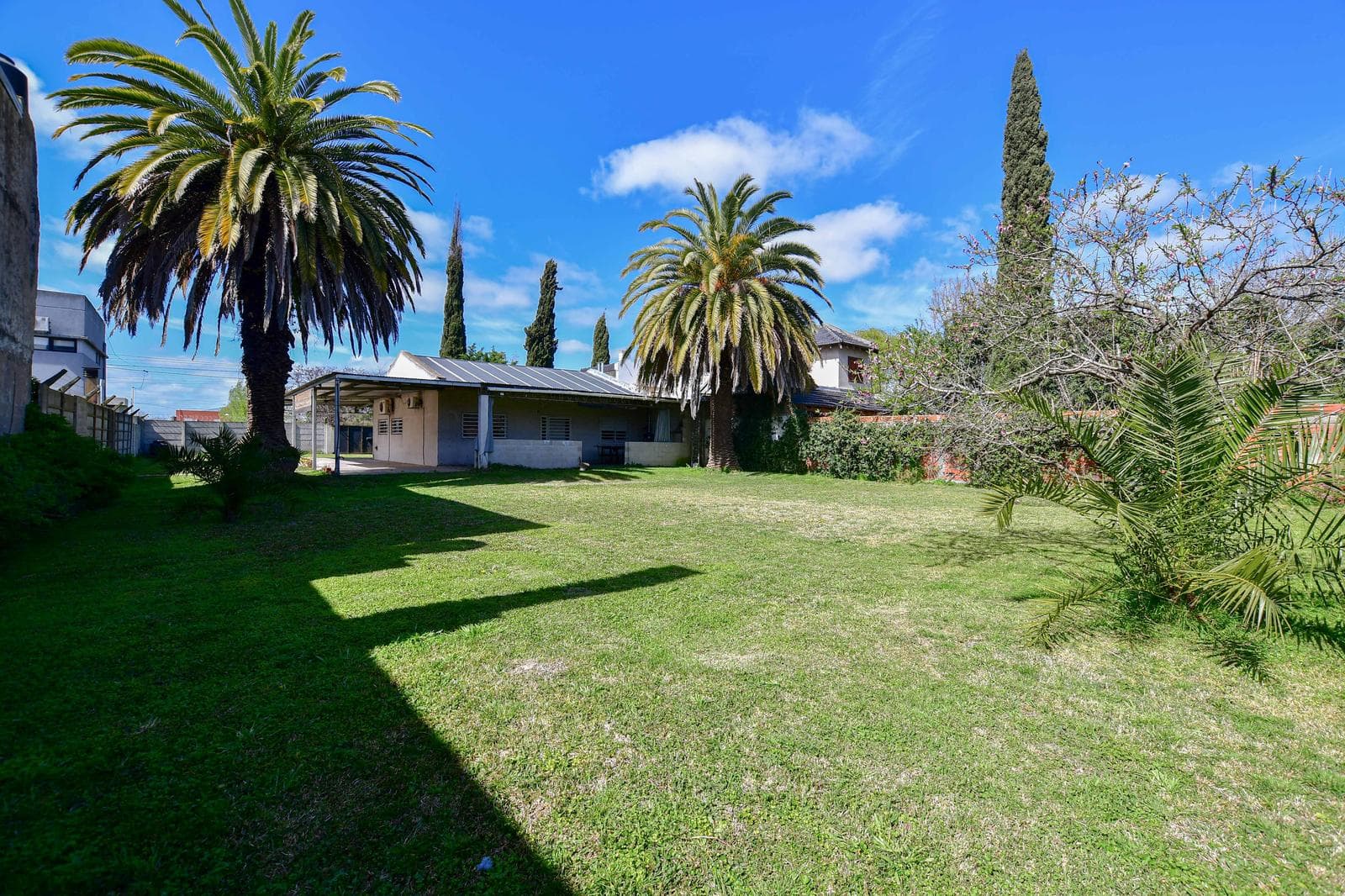 House in Los Hornos