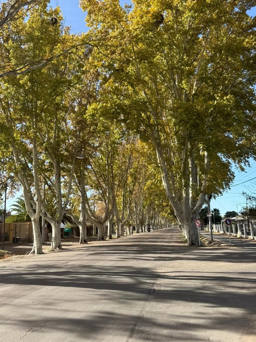 Lot in General Alvear, at the intersection of Pellegrini and Diagonal