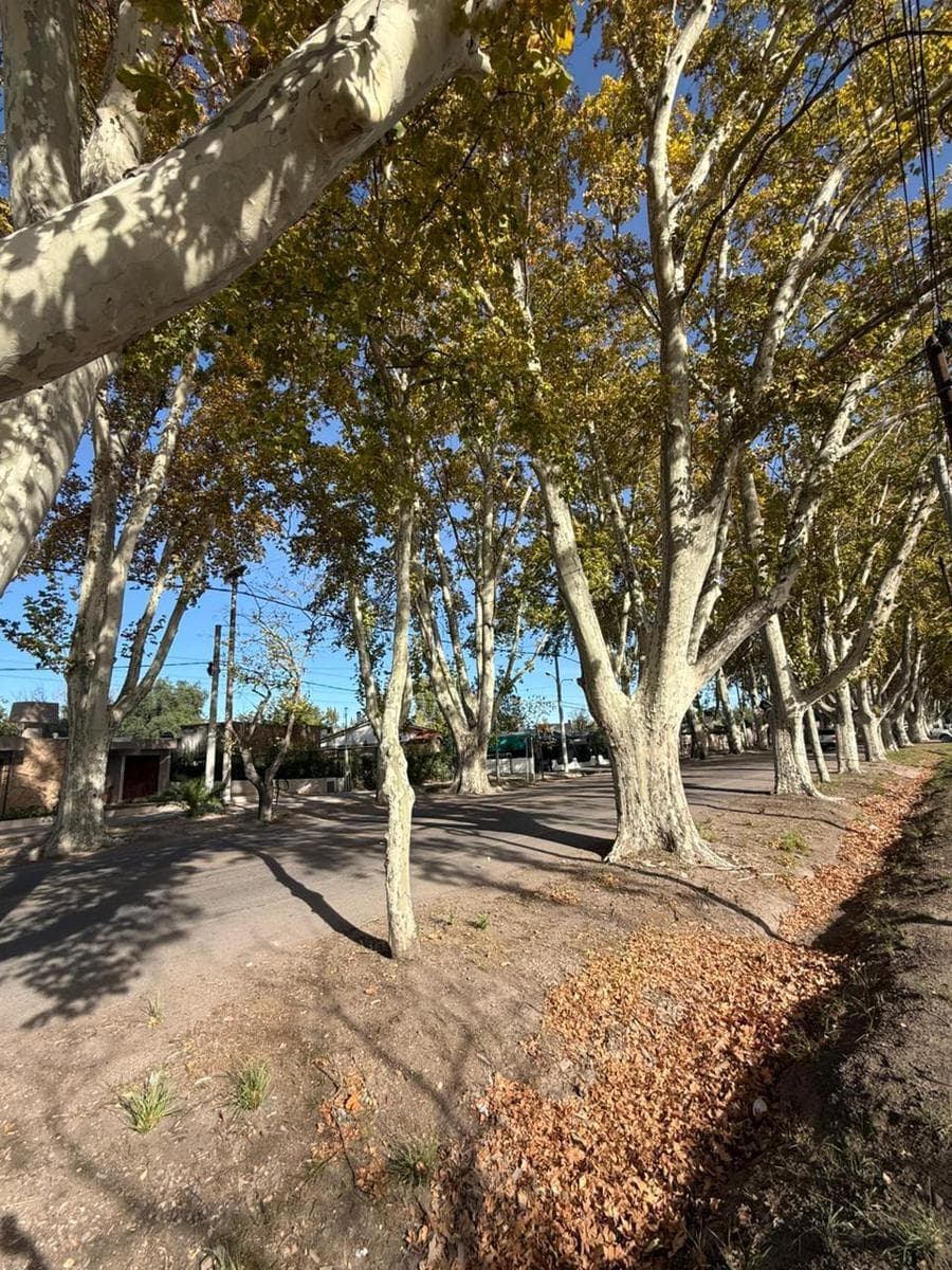Lot in General Alvear, at the intersection of Pellegrini and Diagonal