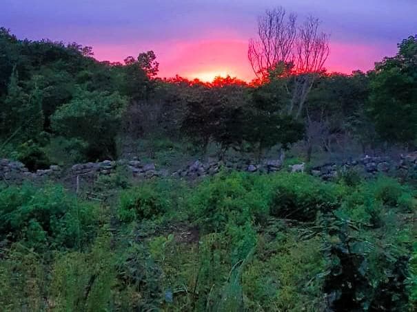 A 7.4-hectare plot of land located in Seyé, near Hacienda Xucu