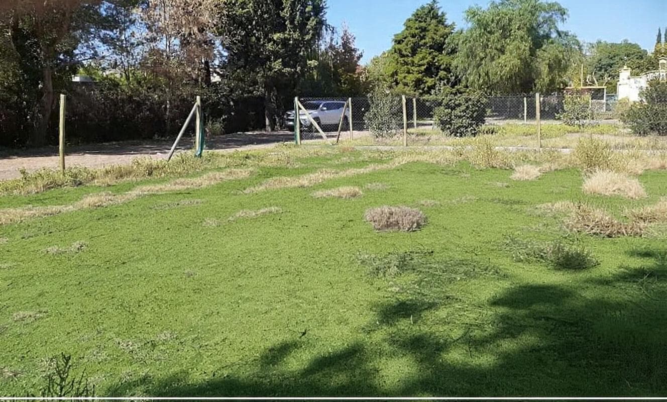 Land in Guaymallén, Prime Location