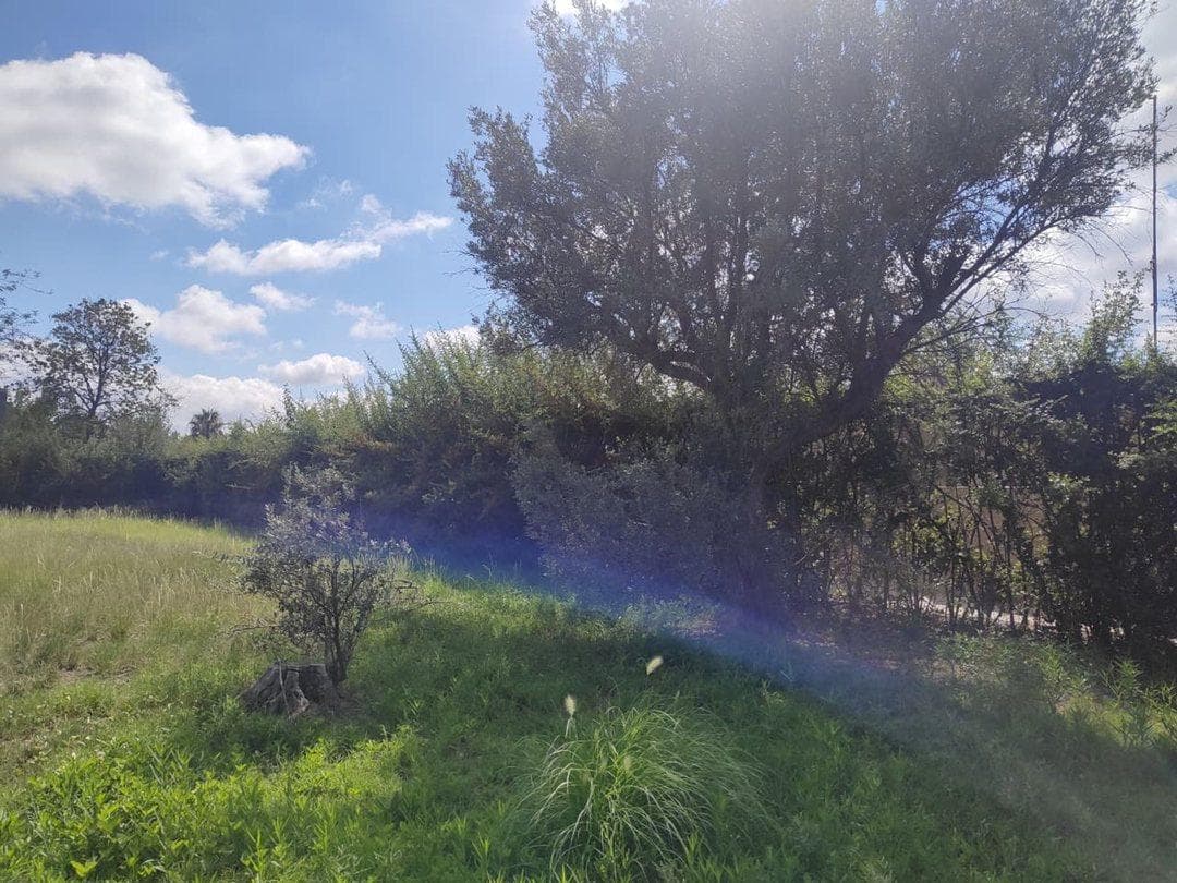 For Sale: 1,215 m² Lot in Portal de Vistalba