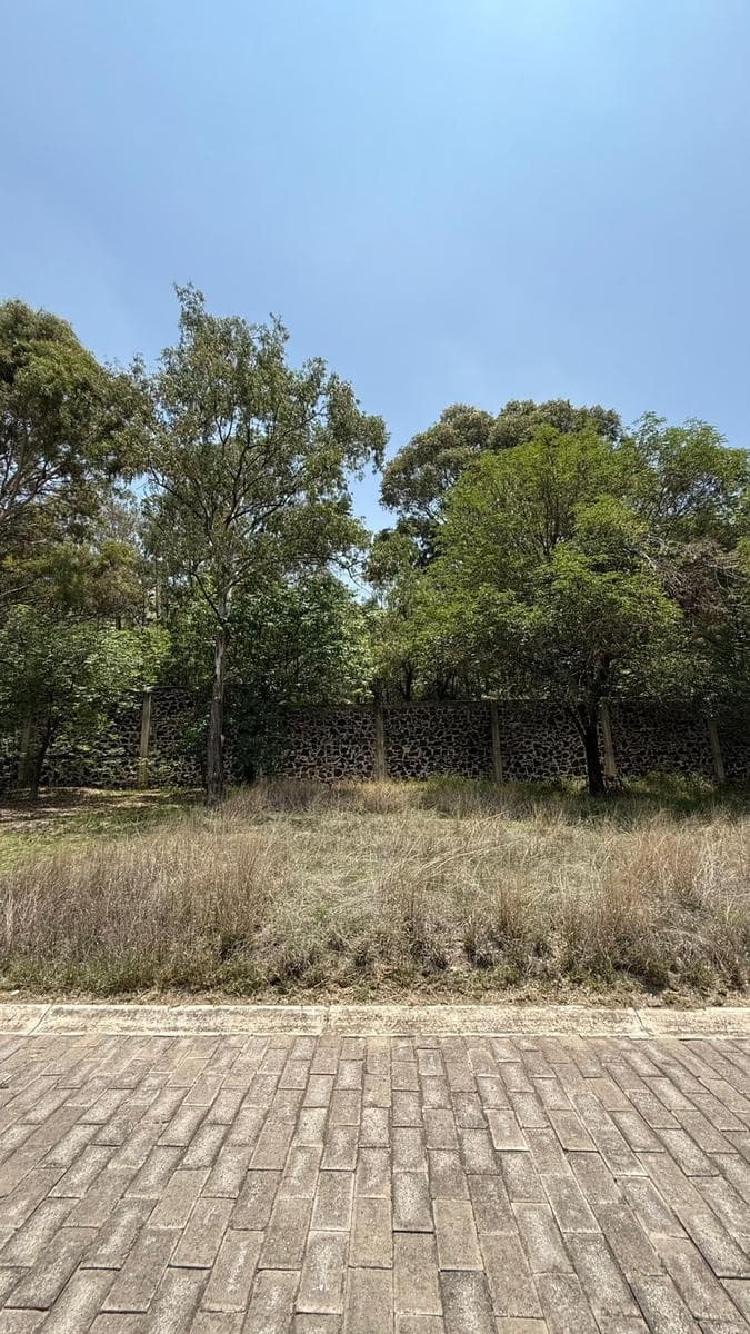 Land Tepoya Forests - Zerezotla