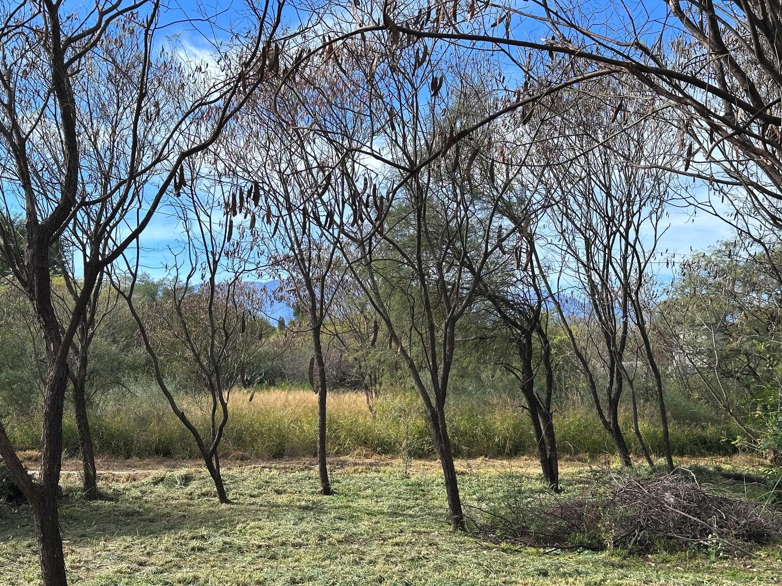 Land for Sale in Las Tapias | 693 m² | Deed and Utilities