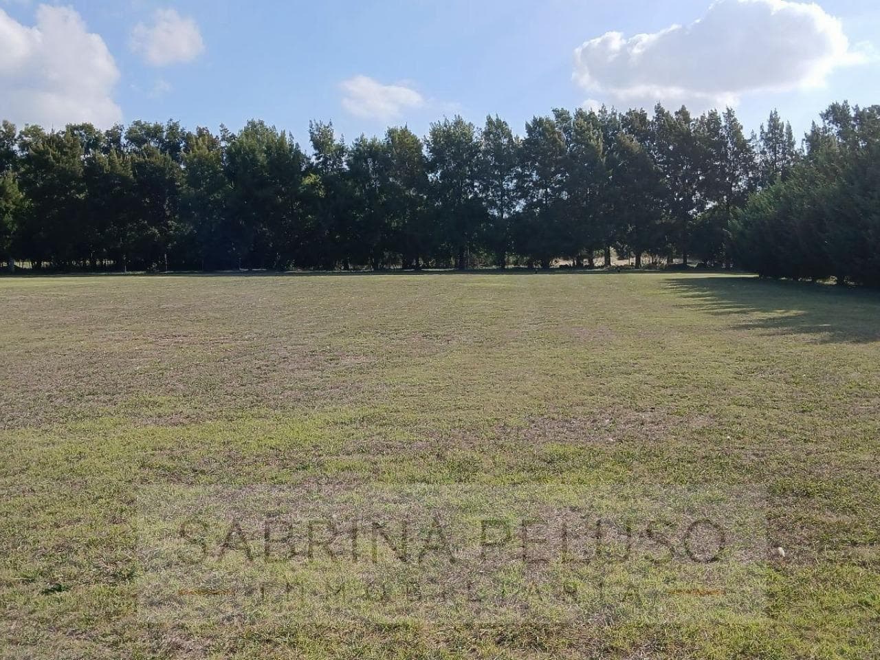 Land in Luján