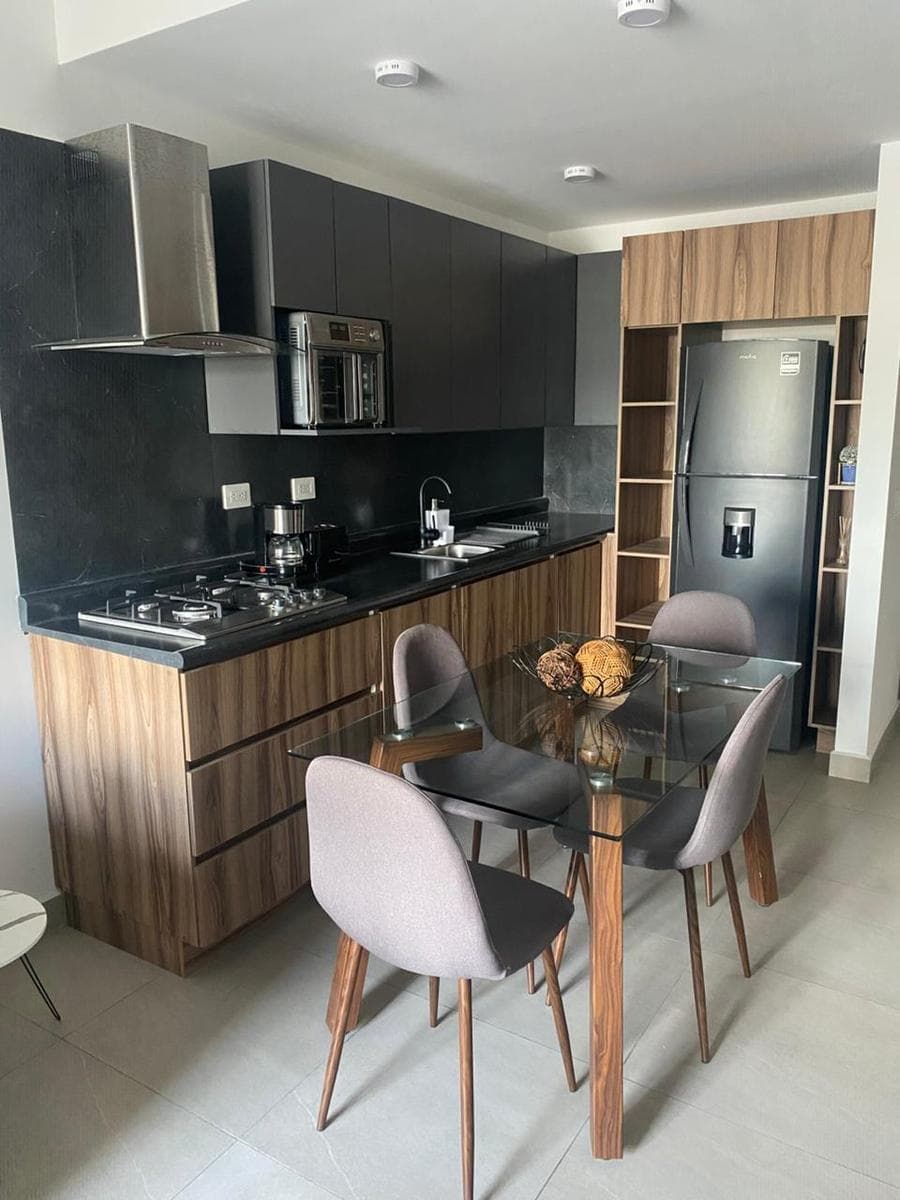 APARTMENT FOR RENT IN TORRE MITT