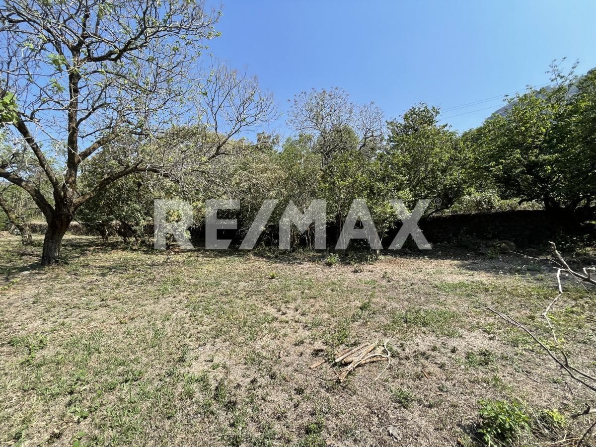 Deeded Land for Sale in Morelos, on the Road to Meztitla, Tepoztlán