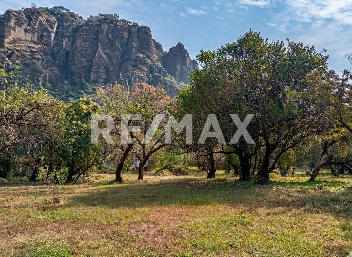 Deeded Land for Sale in Morelos, on the Road to Meztitla, Tepoztlán