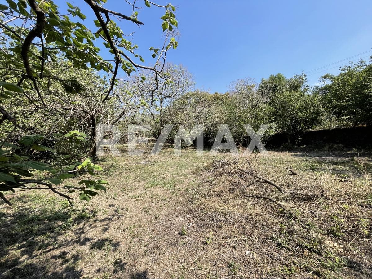 Deeded Land for Sale in Morelos, on the Road to Meztitla, Tepoztlán
