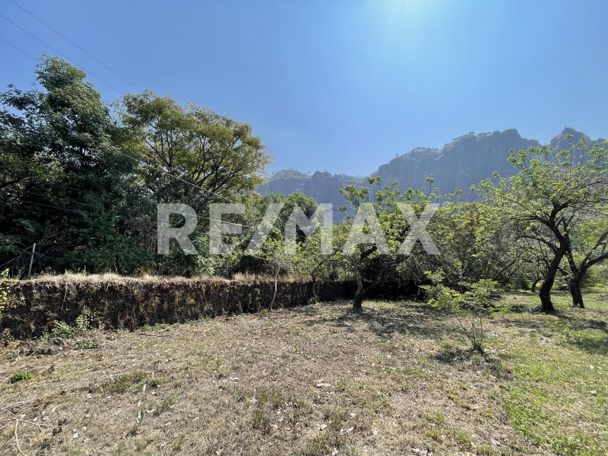 Deeded Land for Sale in Morelos, on the Road to Meztitla, Tepoztlán
