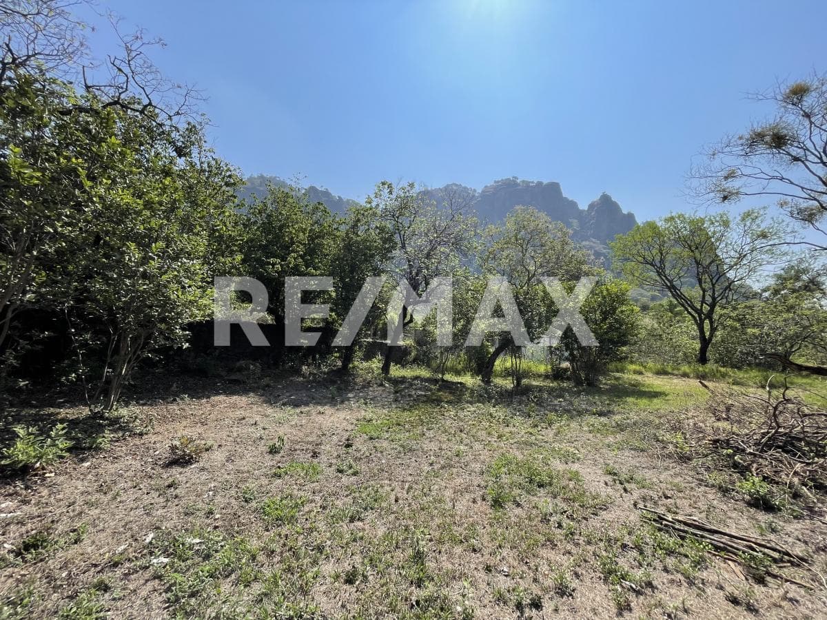 Deeded Land for Sale in Morelos, on the Road to Meztitla, Tepoztlán