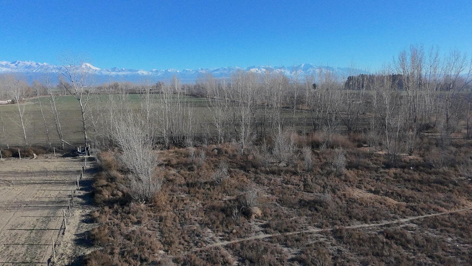 Exclusive Land for Sale in Tupungato
