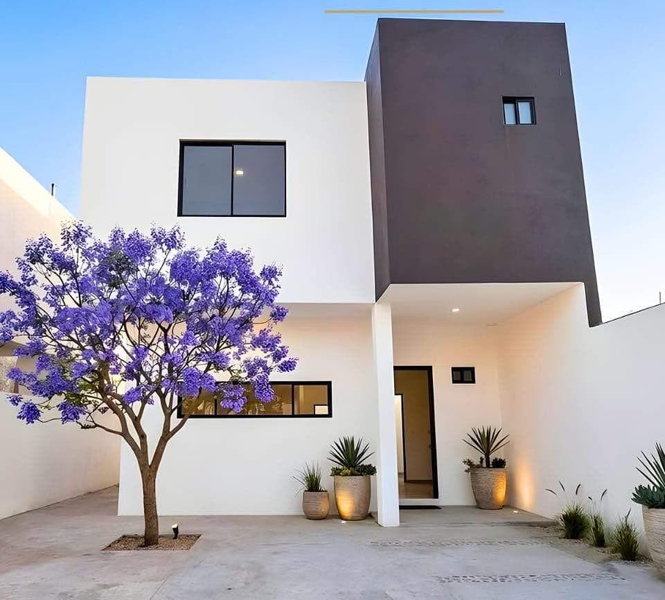 House in Los Reyes