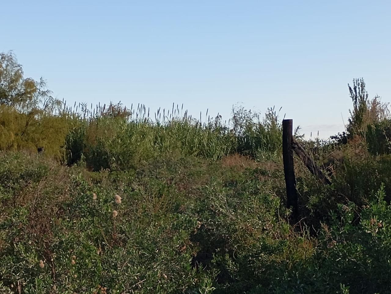 2,000 m² Lot for Sale in Corralitos