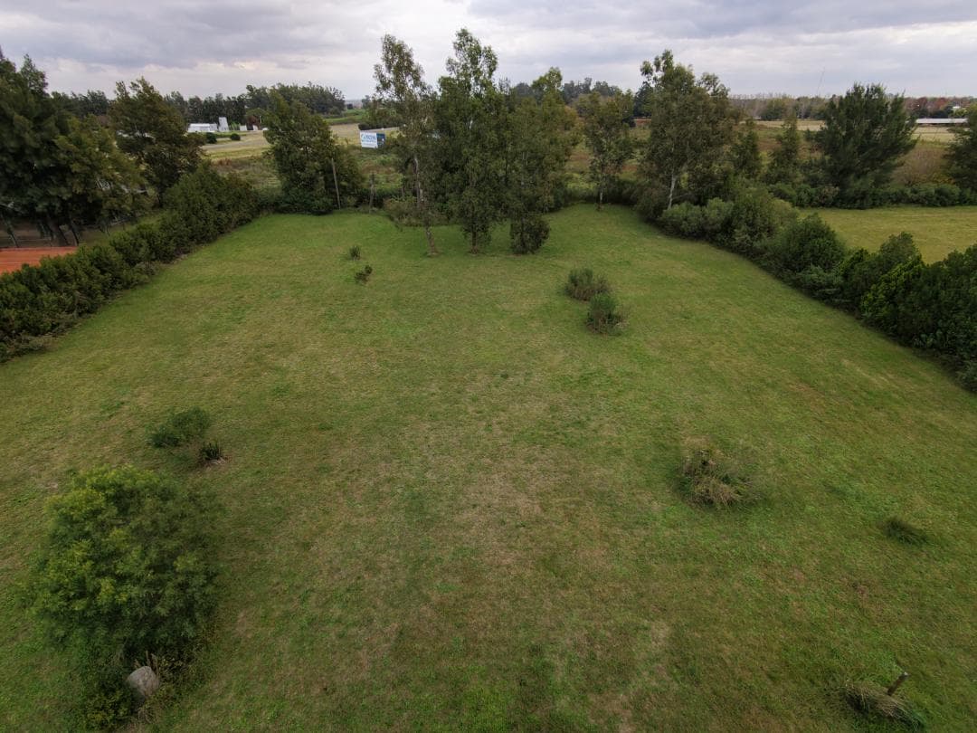 Land in Roldán