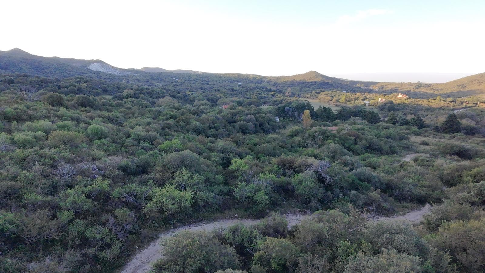 5 Hectares in the Potrerillo Valley, Alta Gracia