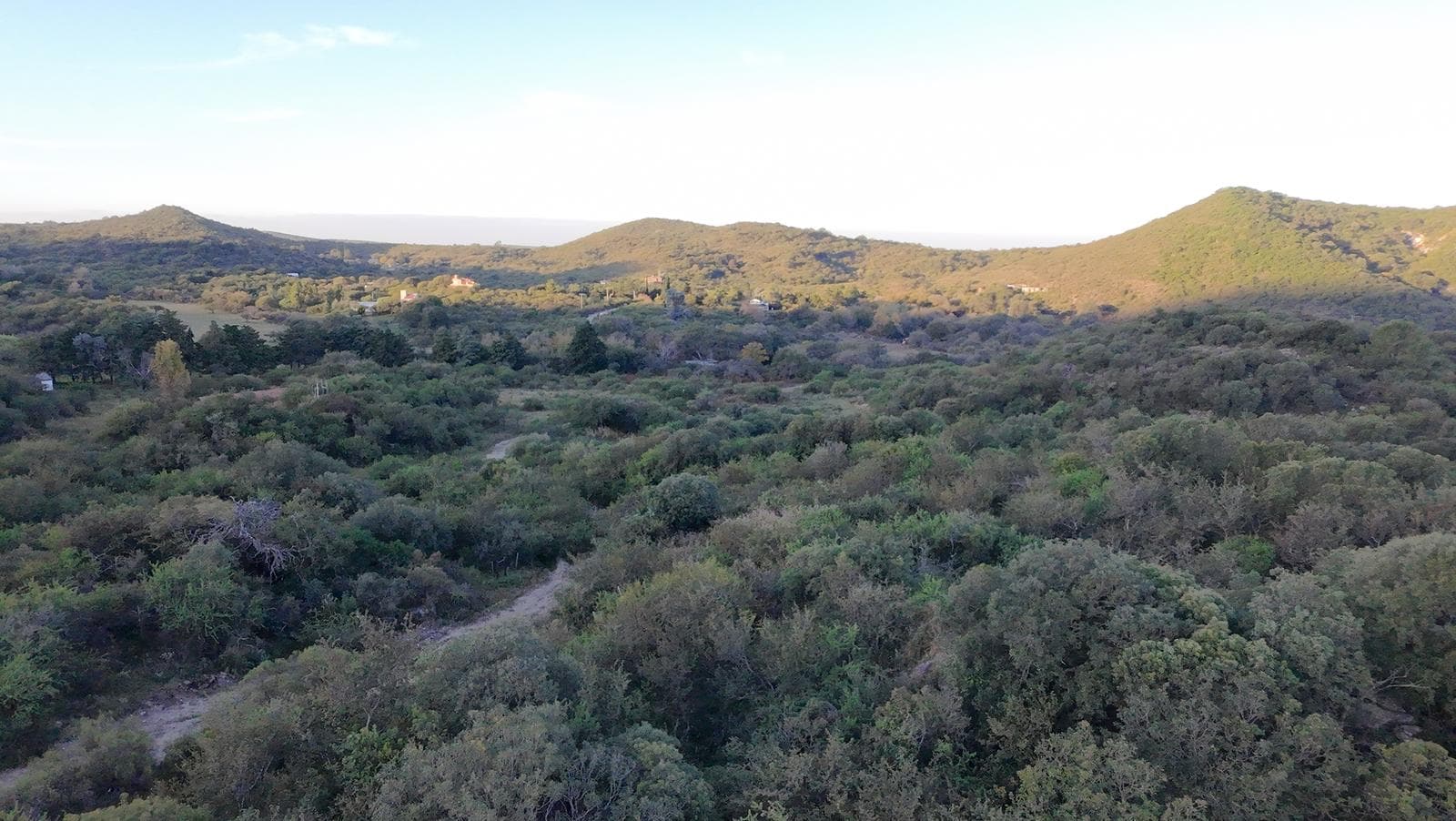 5 Hectares in the Potrerillo Valley, Alta Gracia