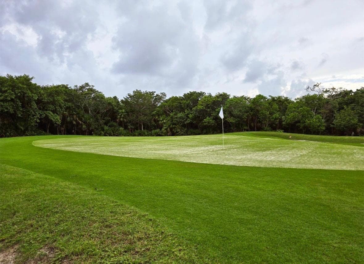 Lot for Sale, 375 m2, in a Country Club, with a view of the El Tinto Golf Course, Cancún