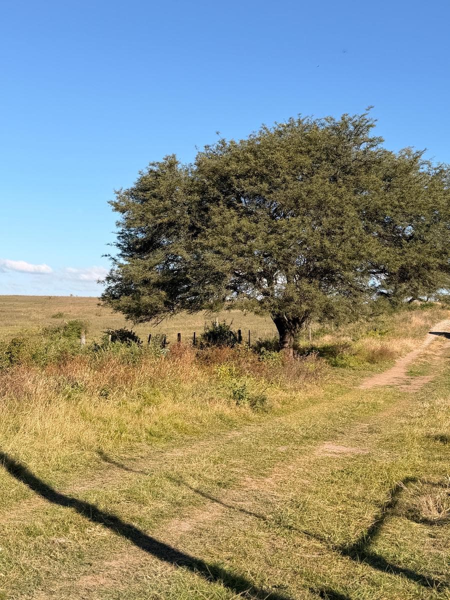 Land in Alta Gracia