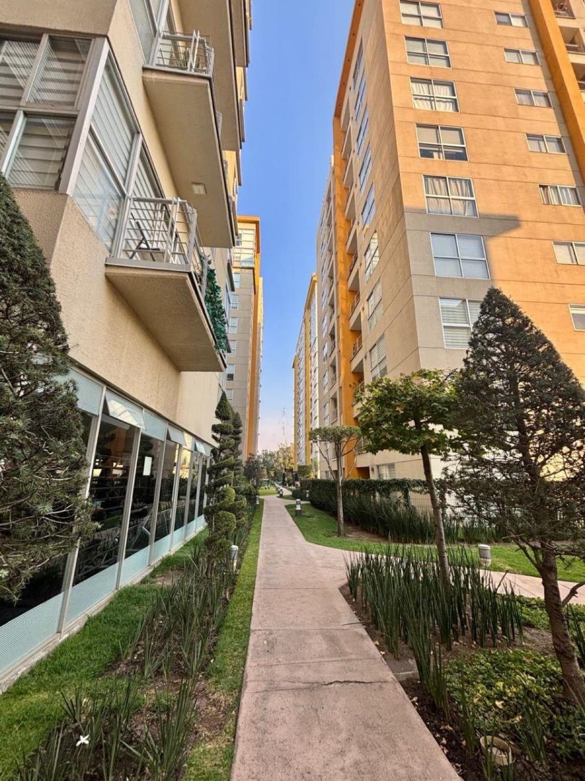 Apartment for sale in Coyoacán: Be Grand, balcony, 2 bedrooms, 2 bathrooms, 2 parking spaces, amenities