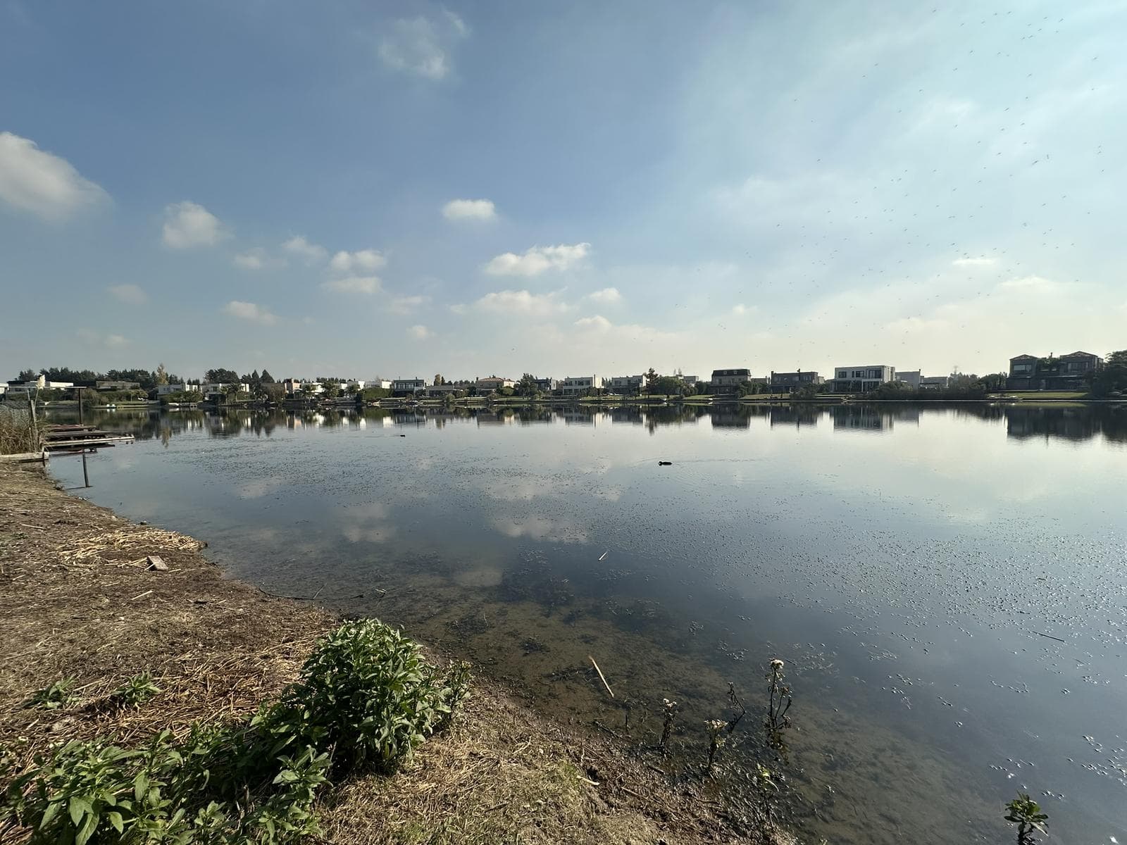 Waterfront Lot in the San Francisco Neighborhood