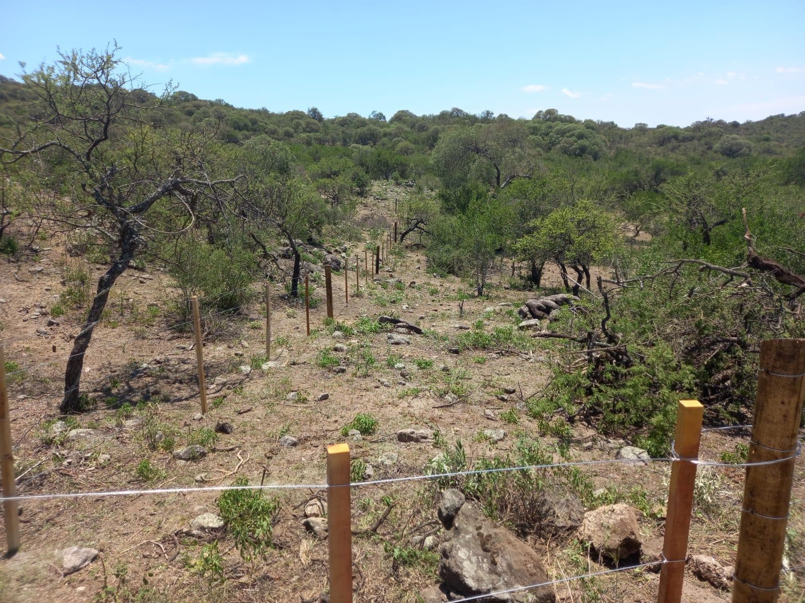 Lot Just a Few Meters from the Second Embalse Power Plant