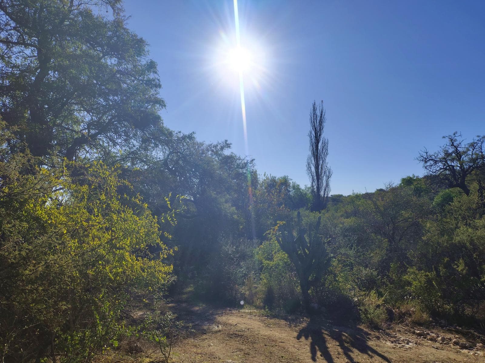 Lots in Las Chacras | Villa de Las Rosas | Starting at 7,700 m² | Views and Nature
