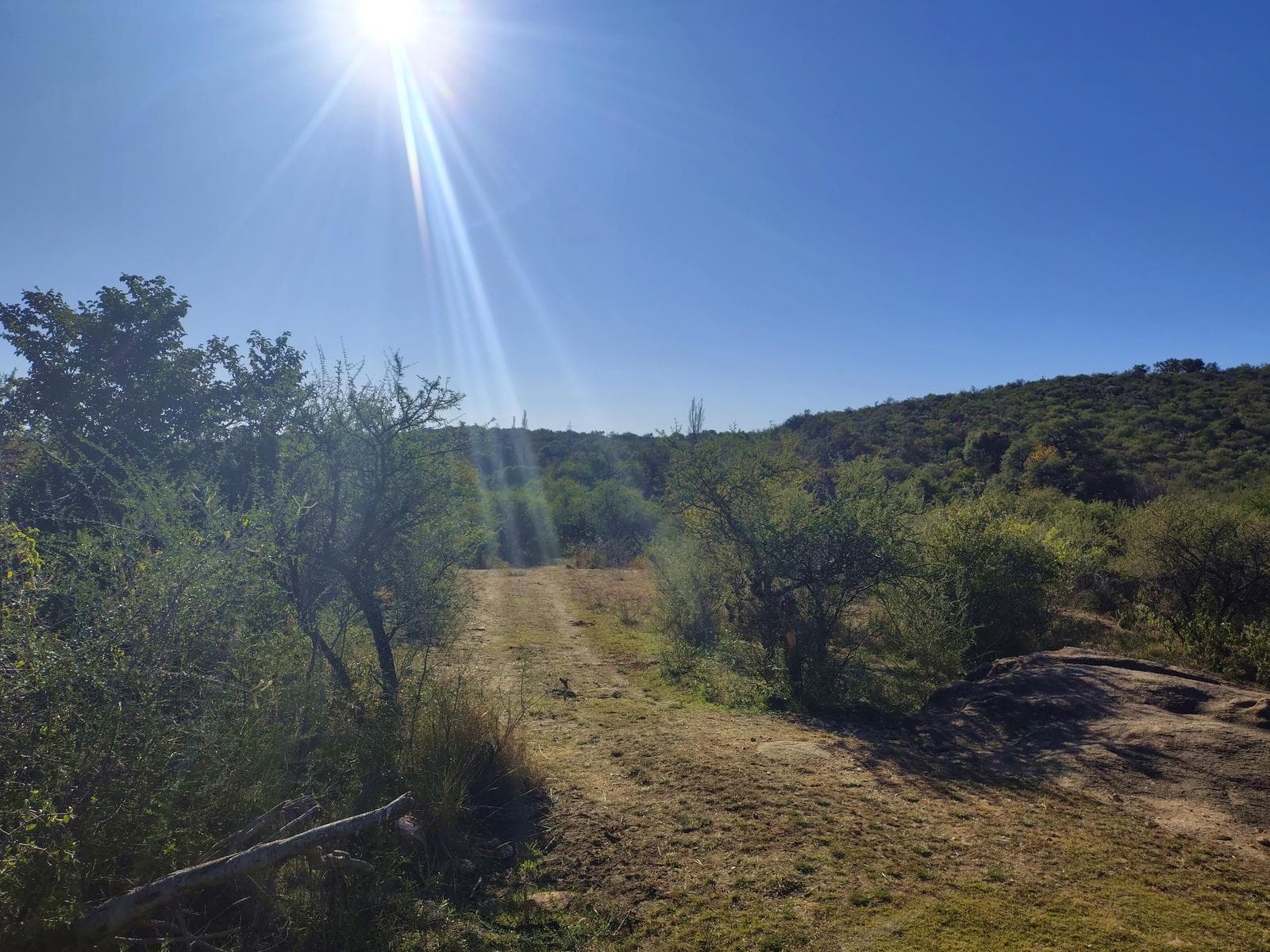 Lots in Las Chacras | Villa de Las Rosas | Starting at 7,700 m² | Views and Nature