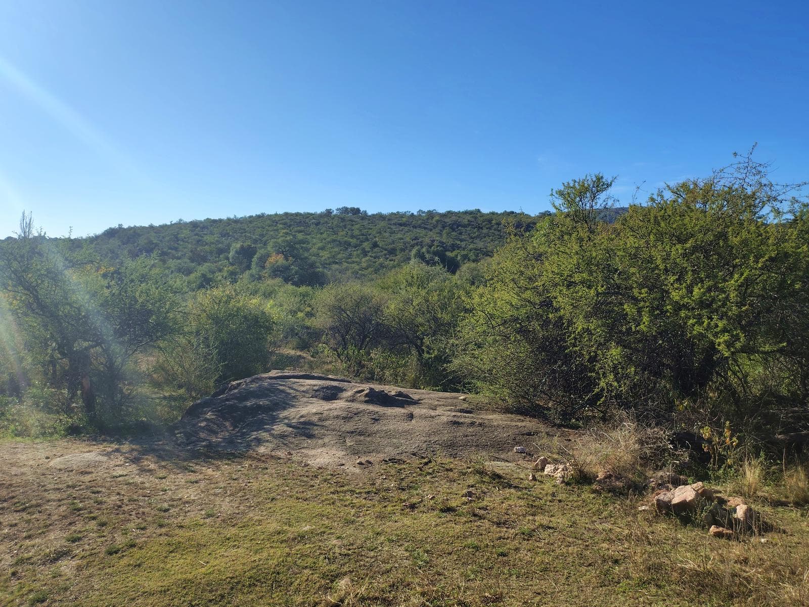 Lots in Las Chacras | Villa de Las Rosas | Starting at 7,700 m² | Views and Nature