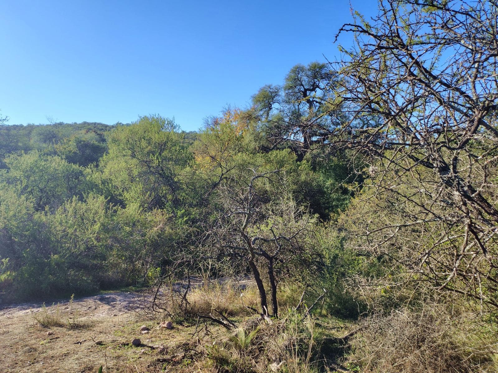 Lots in Las Chacras | Villa de Las Rosas | Starting at 7,700 m² | Views and Nature
