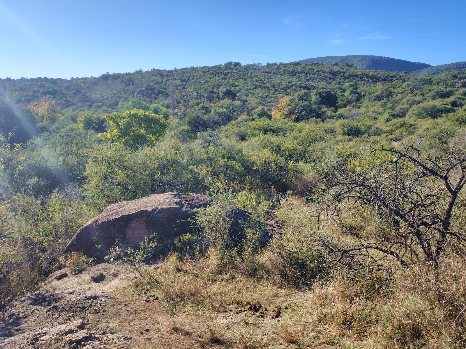 Beautiful, Spacious Lots for Sale in Las Chacras | Villa de Las Rosas | Traslasierra