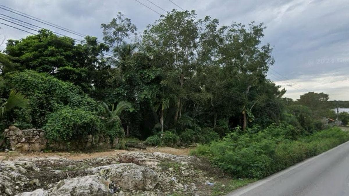 LAND FOR SALE IN EL TINTAL, QUINTANA ROO