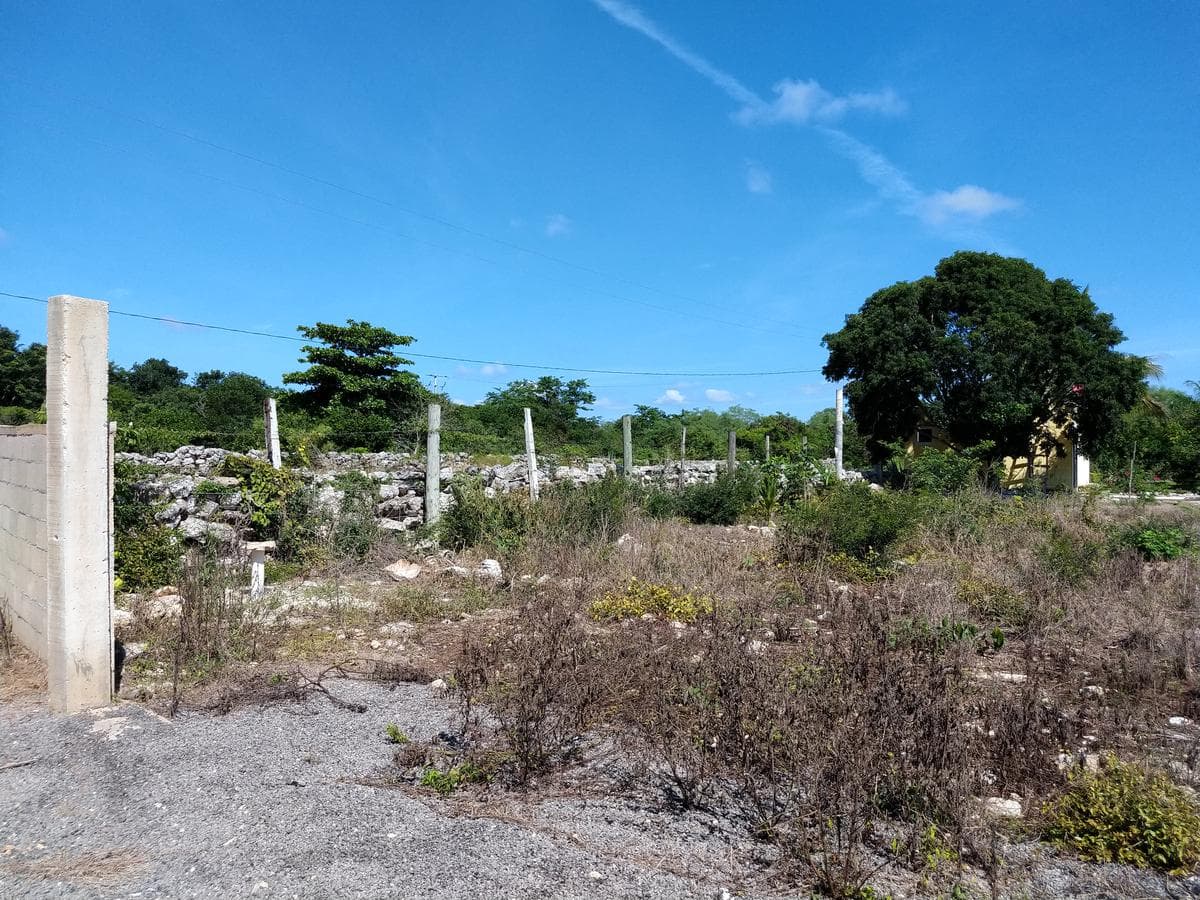 A 3,500-square-meter lot on the outskirts of Chicxulub Pueblo