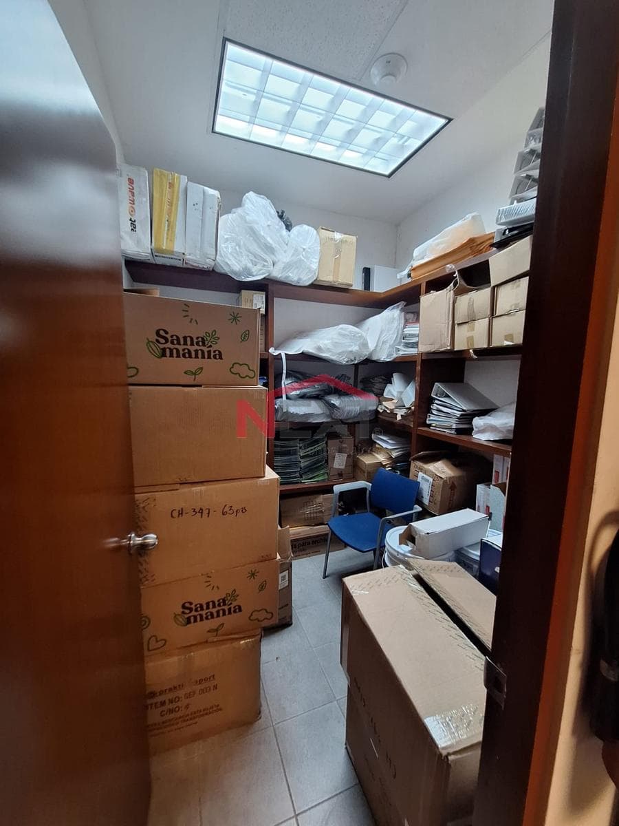 OFFICES FOR RENT ON THE GROUND FLOOR OF COLOSIO