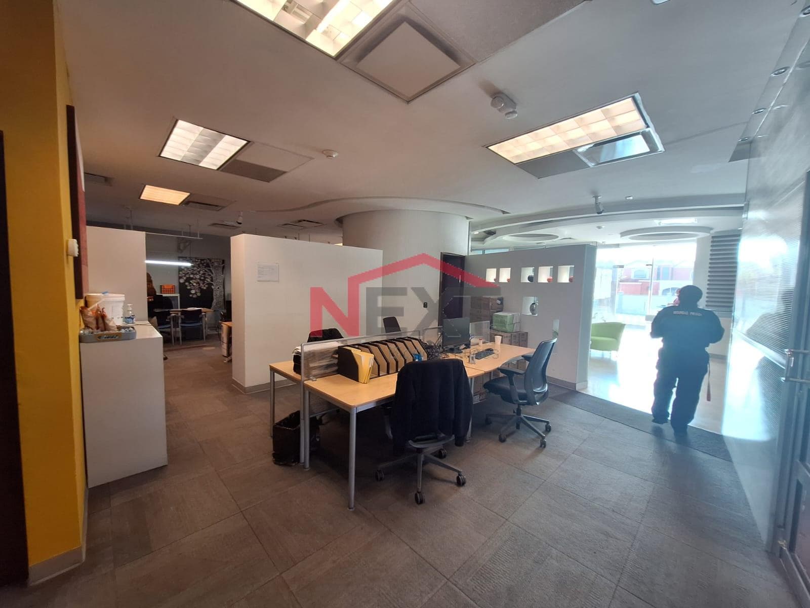 OFFICES FOR RENT ON THE GROUND FLOOR OF COLOSIO