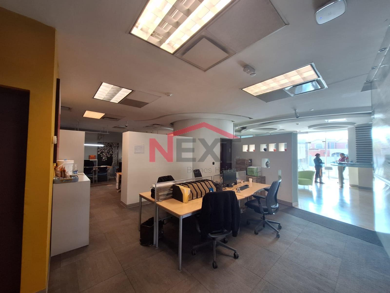 OFFICES FOR RENT ON THE GROUND FLOOR OF COLOSIO