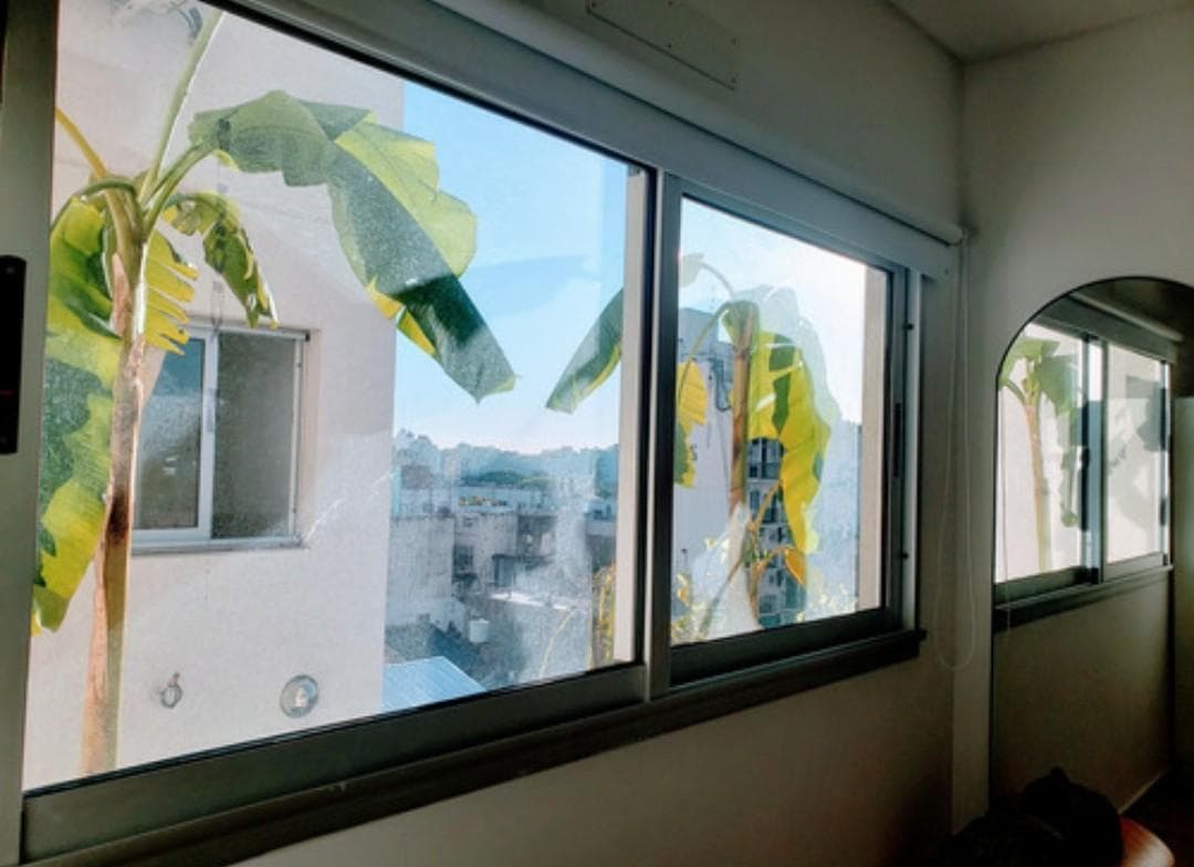 Temporary Apartment