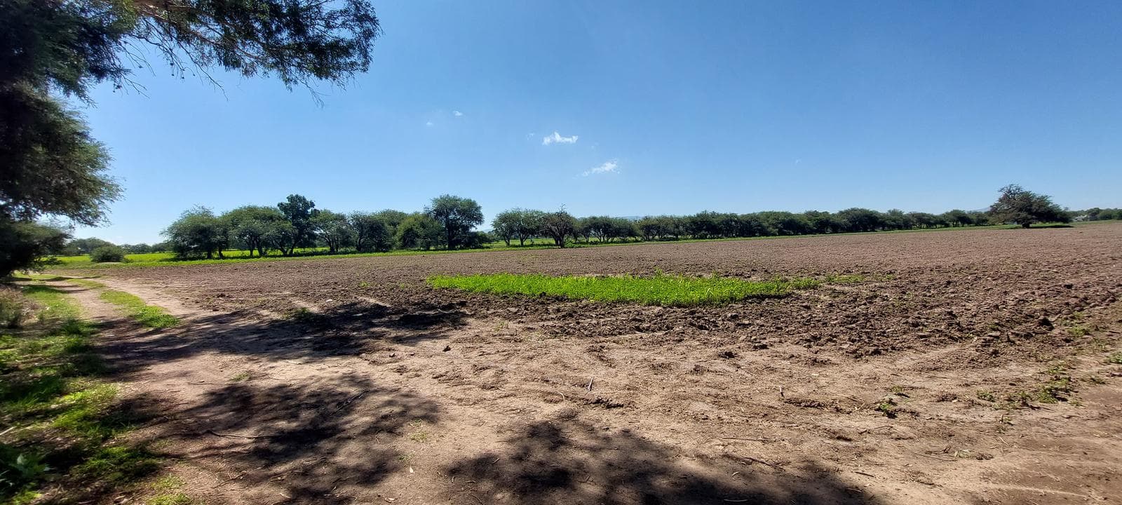 7 hectares of flat land for sale, 10 minutes from the Opción Industrial Park and 30 minutes from the Querétaro Industrial Park