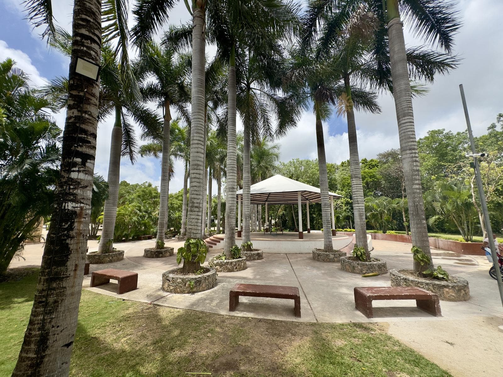 ARBOLADA House
