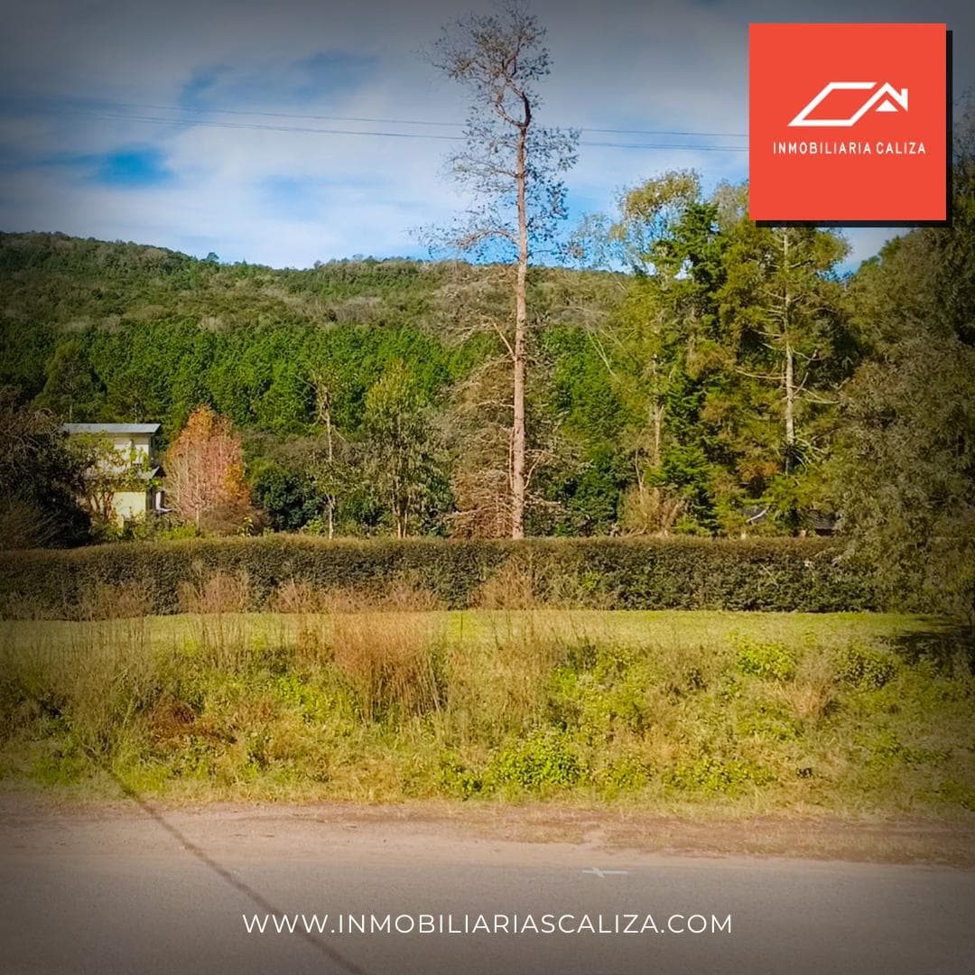 3,240 M² LOT/LAND FOR SALE IN RACO - ON ROUTE 341