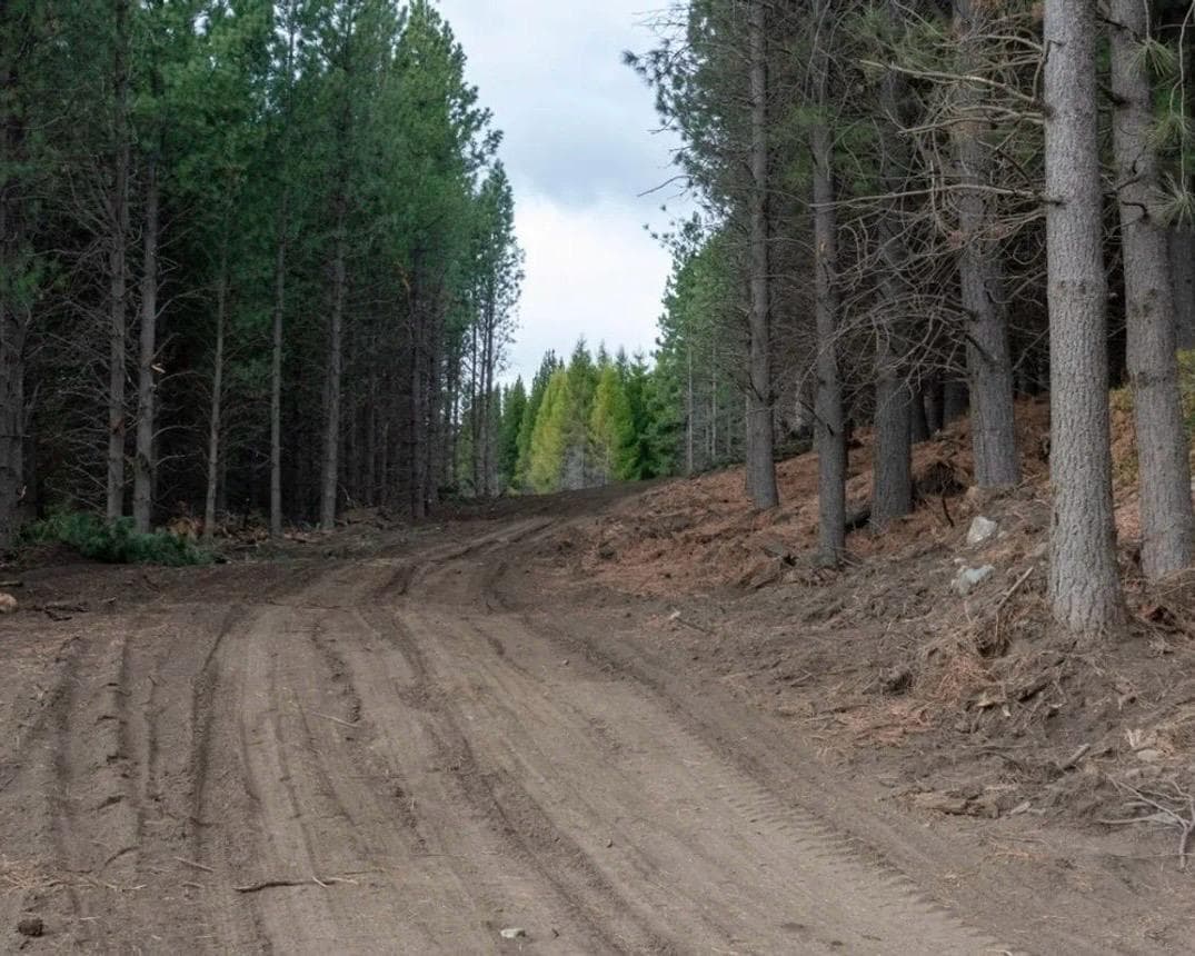 Lot in Remanso Smandes