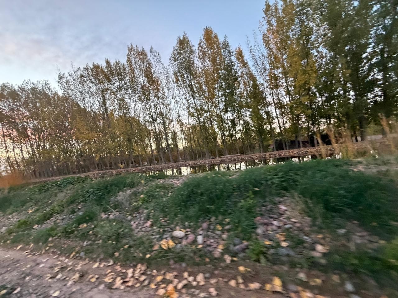 Major warehouse for sale on one and a half hectares of land in Agrelo, Luján.