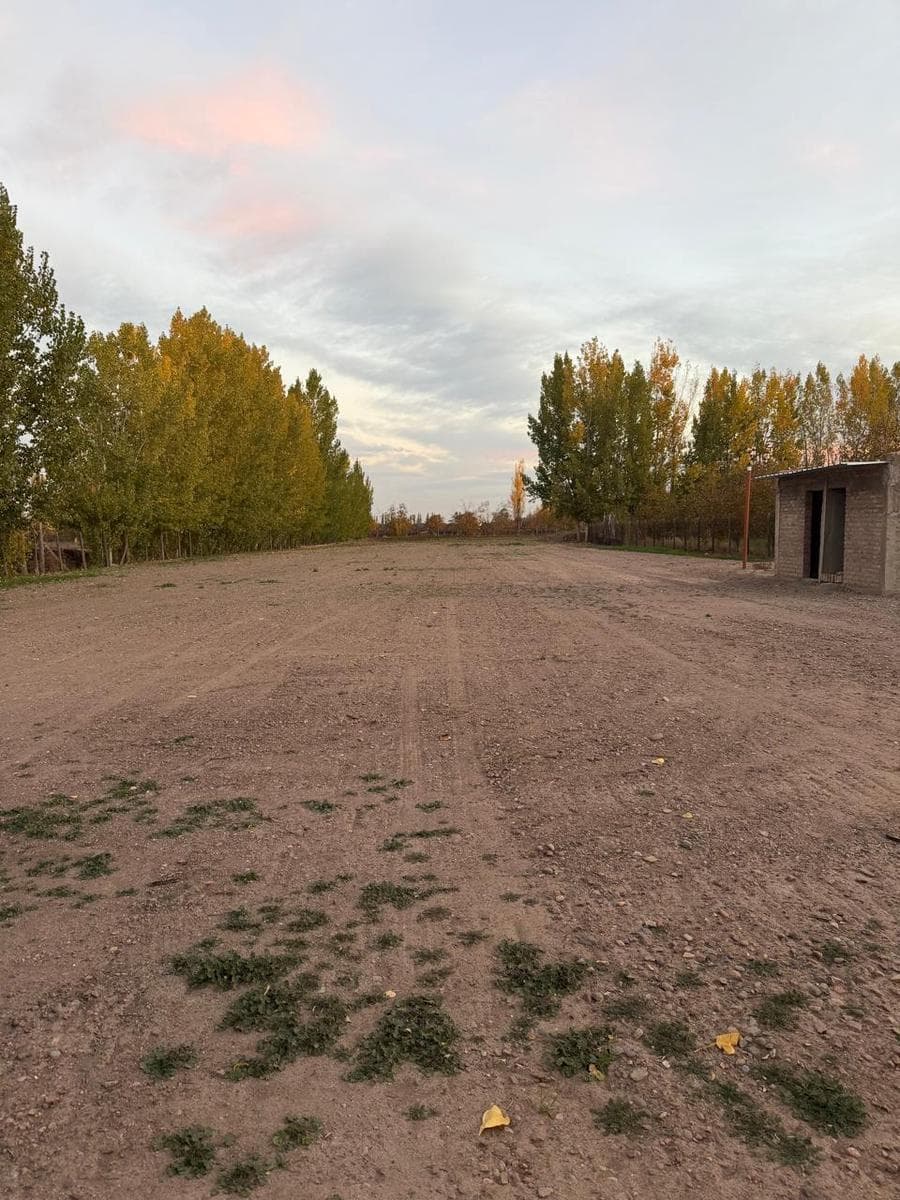 Major warehouse for sale on one and a half hectares of land in Agrelo, Luján.
