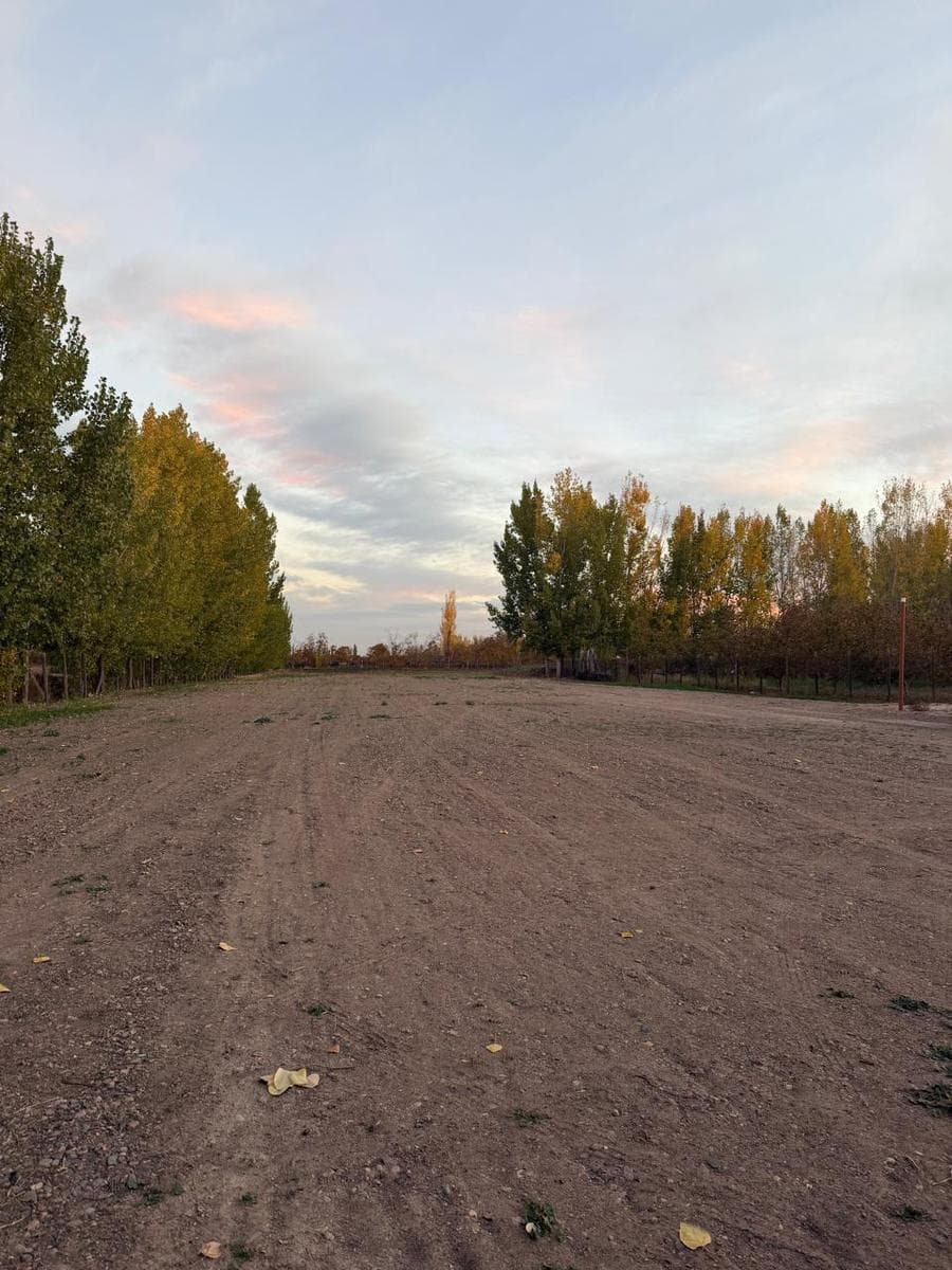 Major warehouse for sale on one and a half hectares of land in Agrelo, Luján.